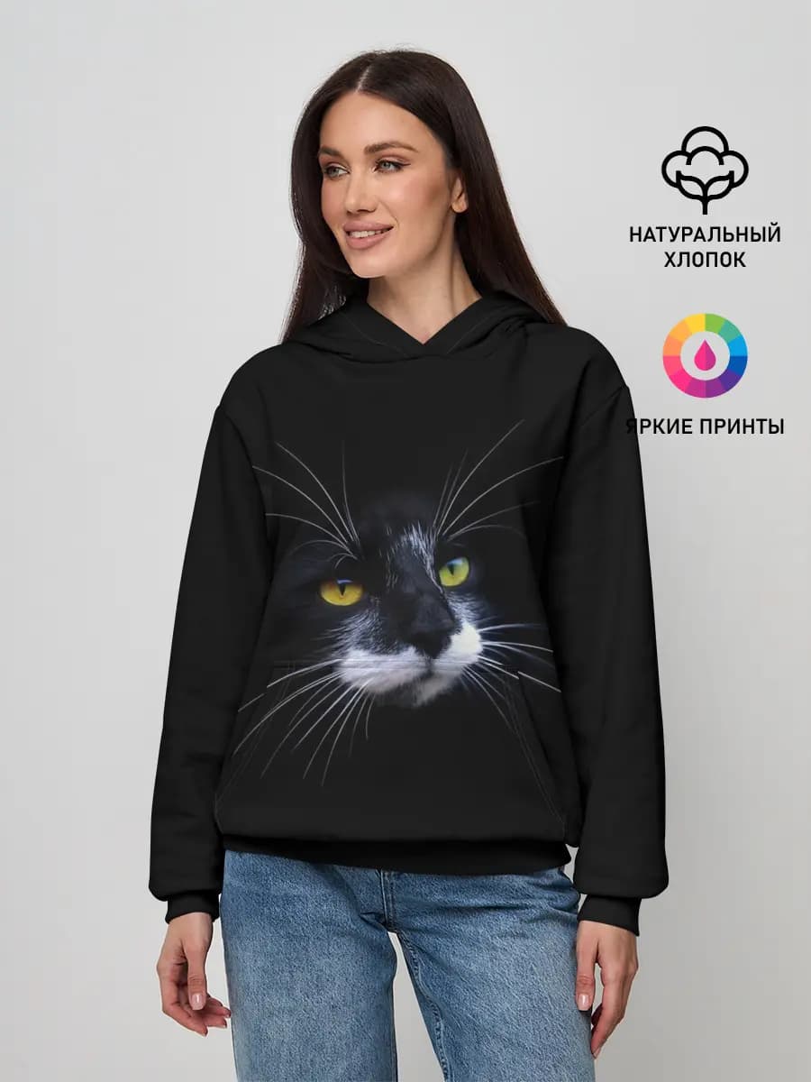 Кот