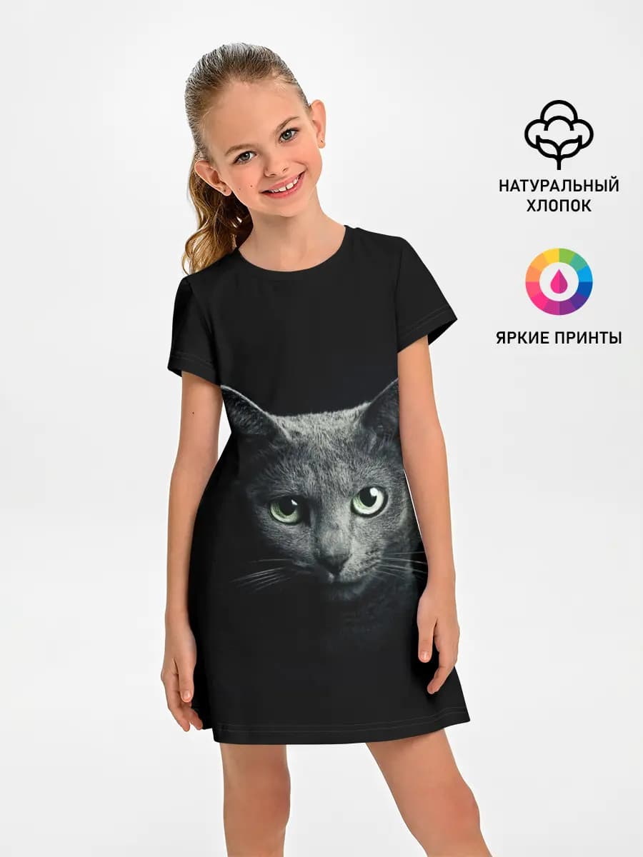 Кот