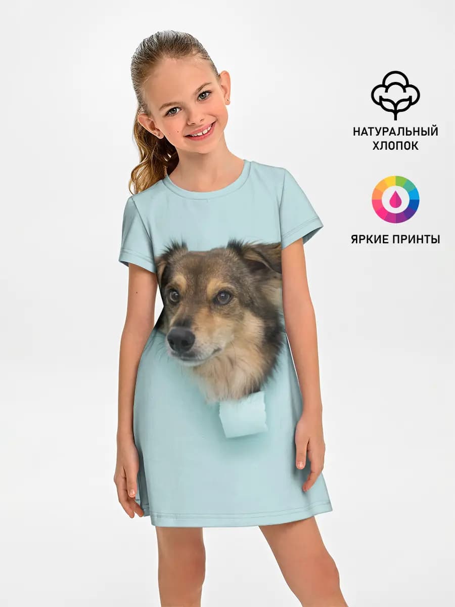 Беспородная Собака дворняга / A Dog