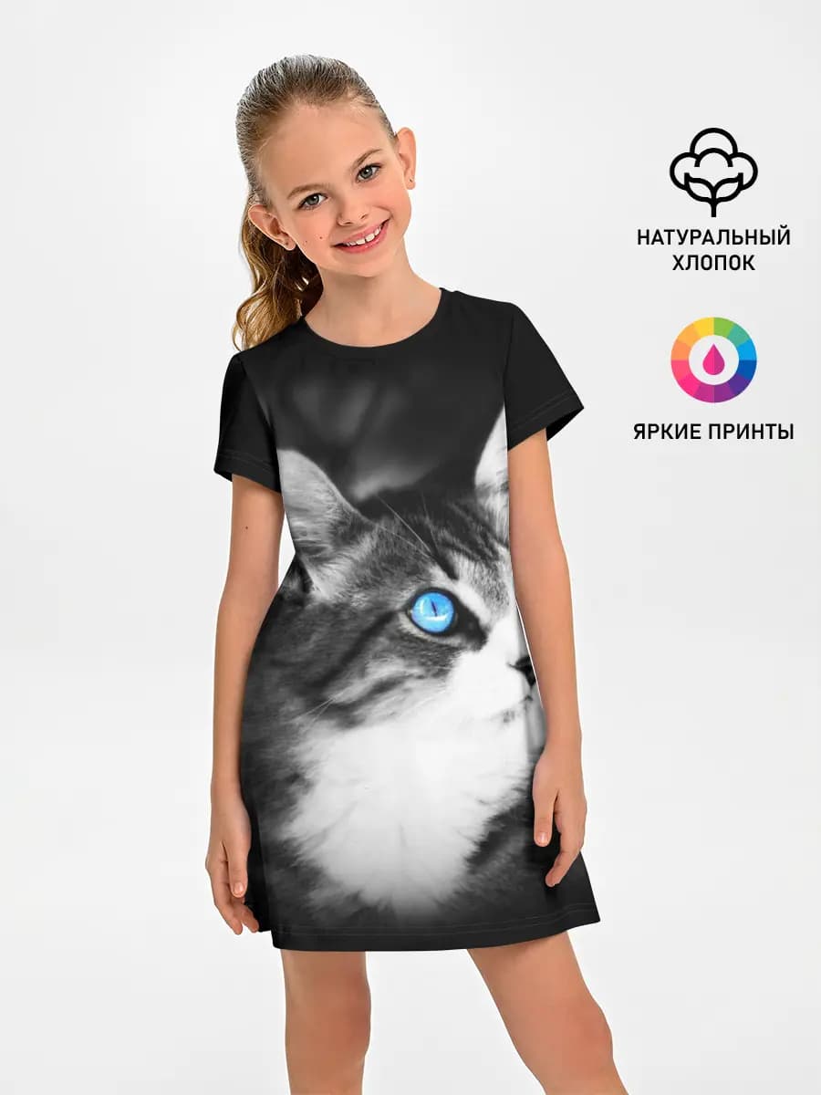Кот