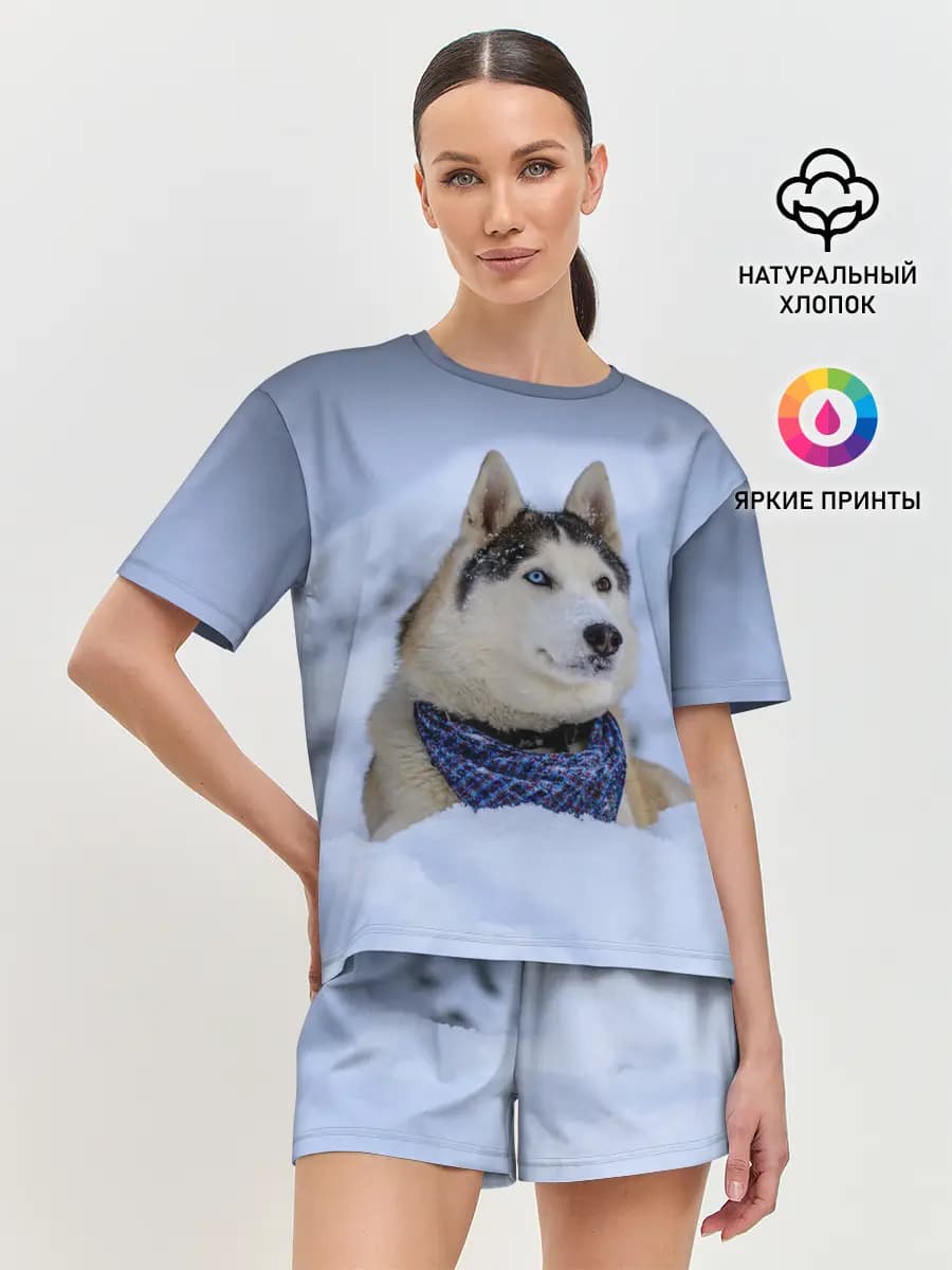 Хаски