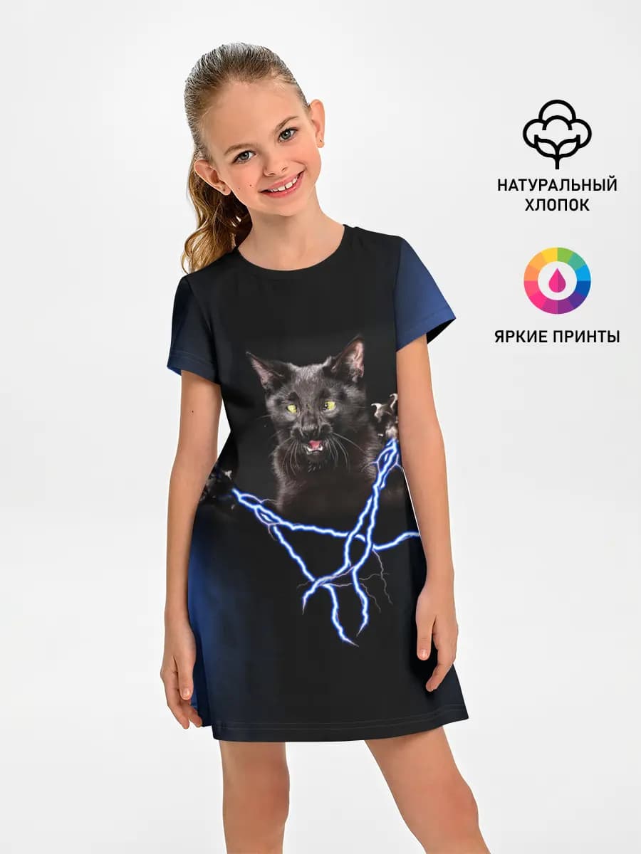 Грозовой кошак