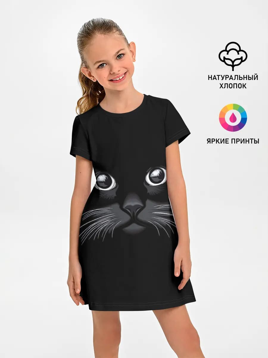 Кот Журбей