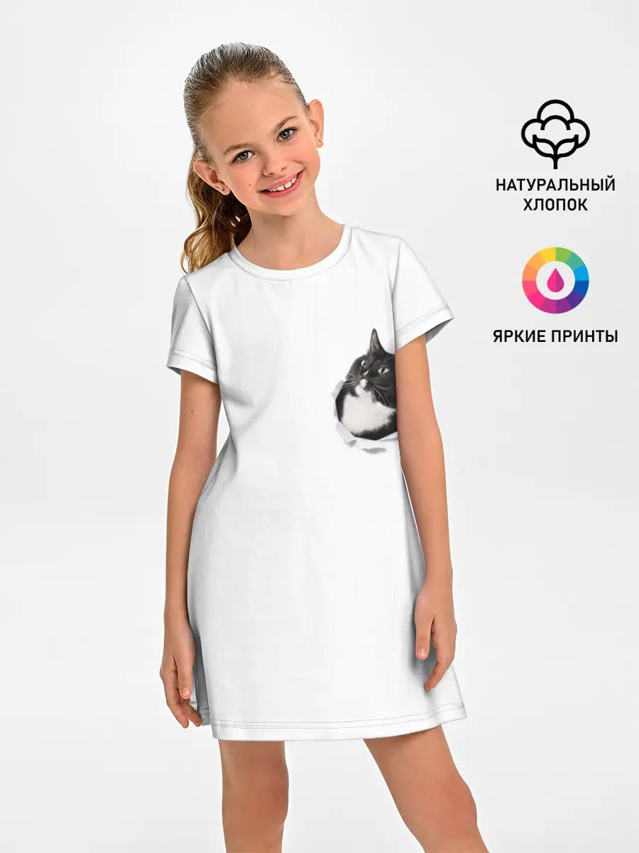 КОТ В СЕРДЦЕ