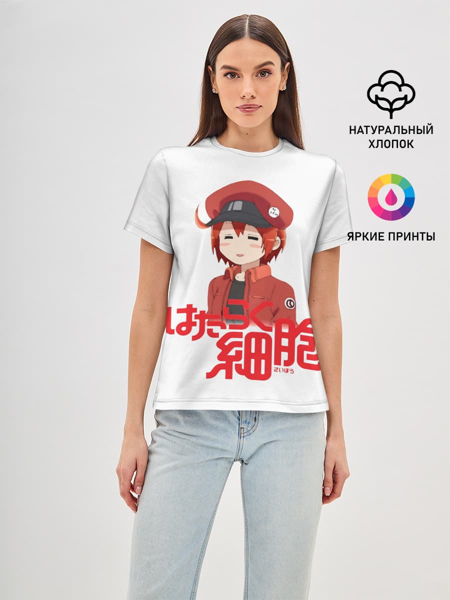 Sekkekkyuu